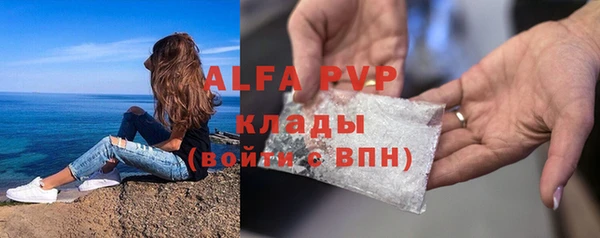 молекула духа Заволжье