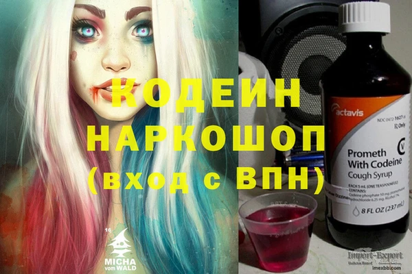PSILOCYBIN Ессентукская