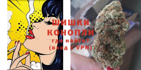 молекула духа Заволжье