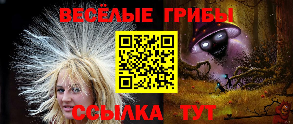 Псилоцибиновые грибы GOLDEN TEACHER Похвистнево